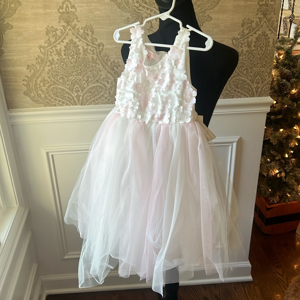 Biscotti Flower Dress Size 6
